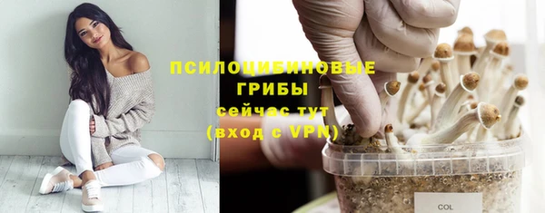 спиды Баксан
