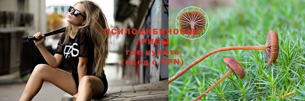 спиды Баксан